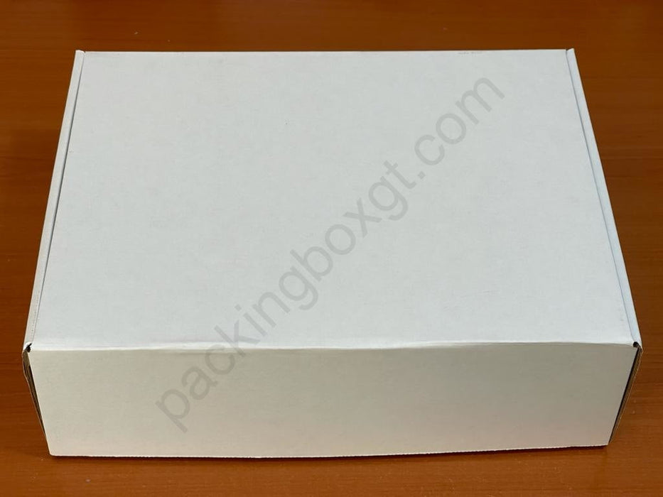 Caja de 37 x 28 x 11 cm (50 Unidades)