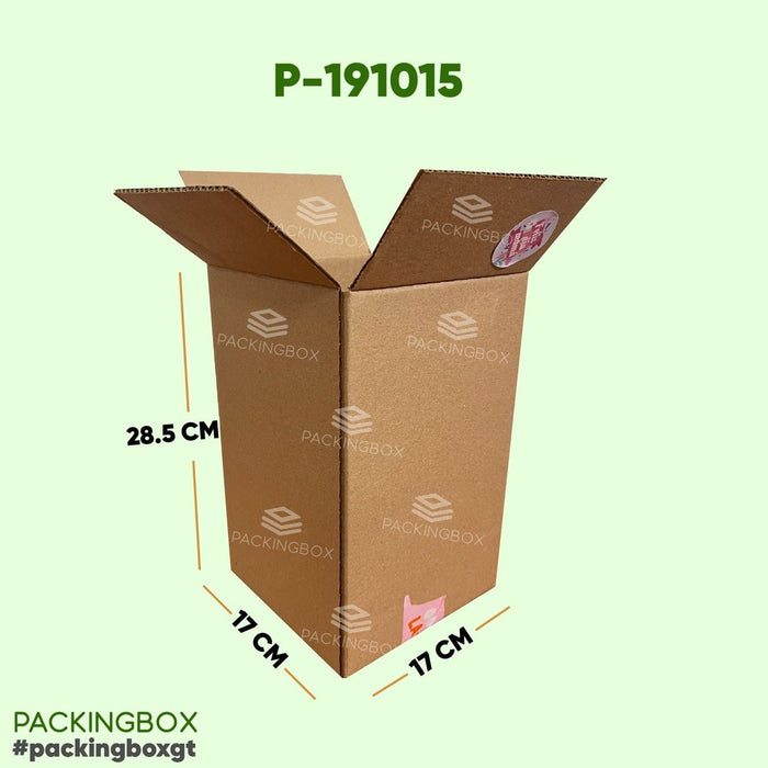 Caja de 28.5 x 17 x 17 cm (300 Unidades Con LOGO)