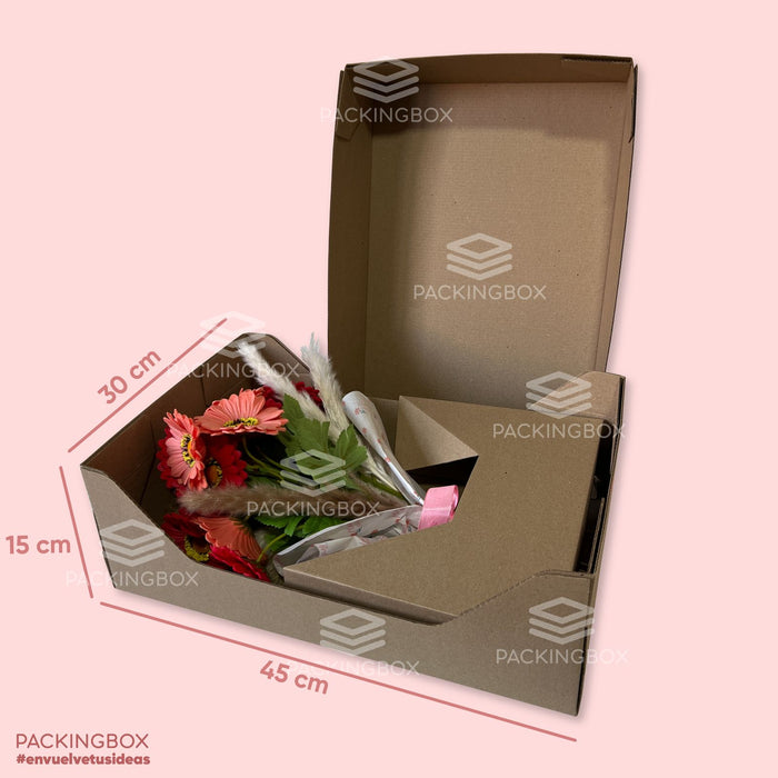 Caja de 45 x 30 x 15 cm (25 Unidades)