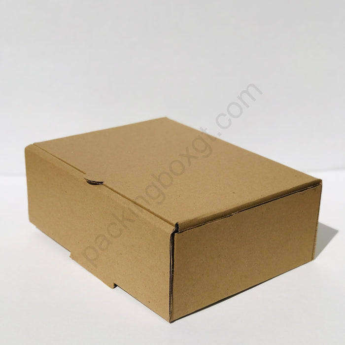 Caja semi Cuadrada 24.5 x 19 x 9 cm (100 Unidades)