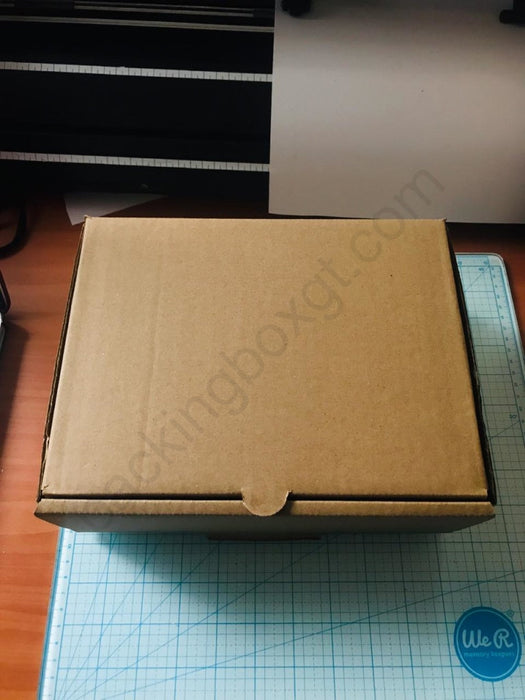 Caja semi Cuadrada 24.5 x 19 x 9 cm (300 Unidades con LOGO)