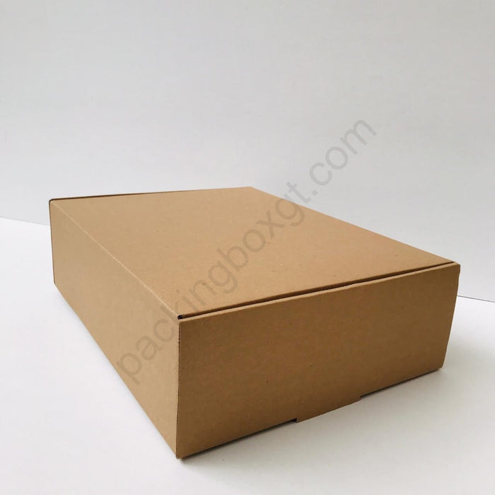 Caja de 37 x 28 x 11 cm (300 Unidades Con LOGO)