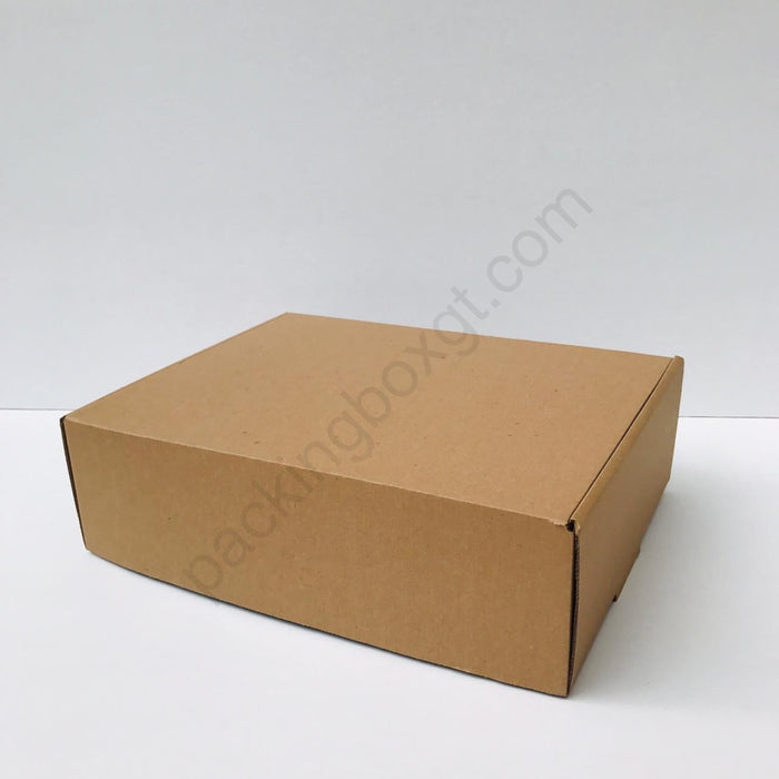 Caja de 37 x 28 x 11 cm (100 Unidades Con LOGO)