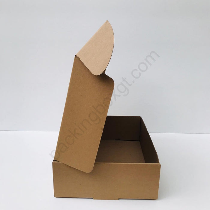 Caja de 37 x 28 x 11 cm (100 Unidades Con LOGO)