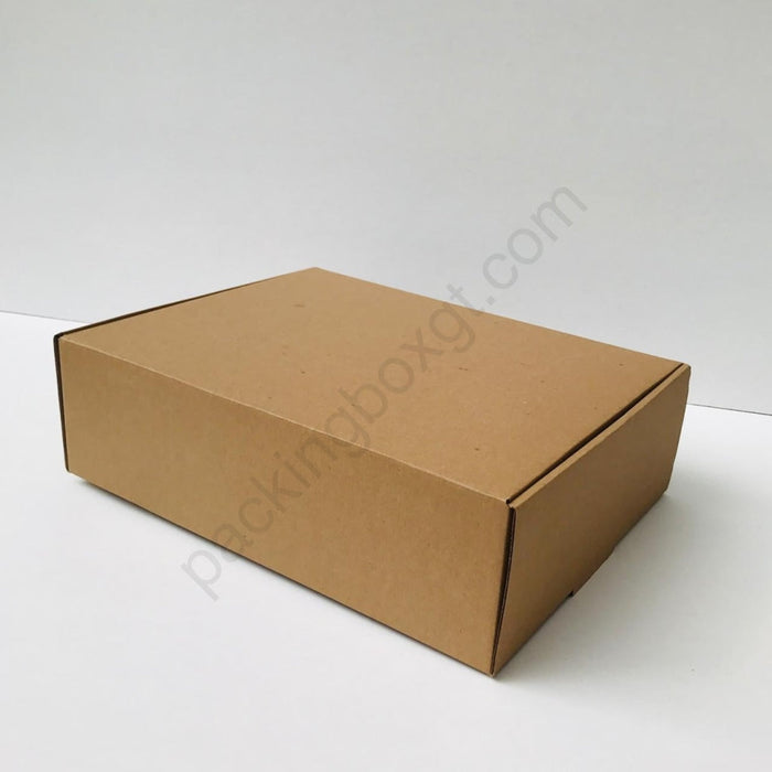 Caja de 37 x 28 x 11 cm (200 Unidades Con LOGO)