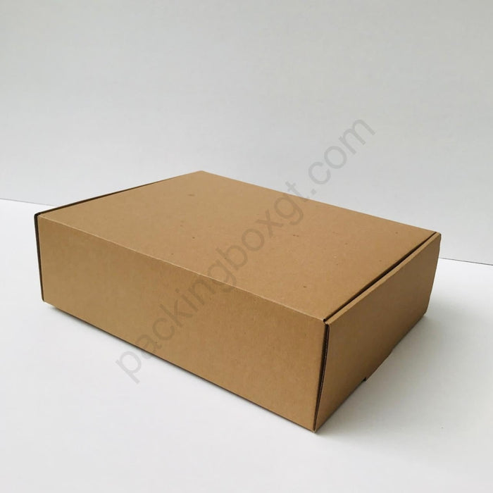 Caja de 37 x 28 x 11 cm (100 Unidades Con LOGO)