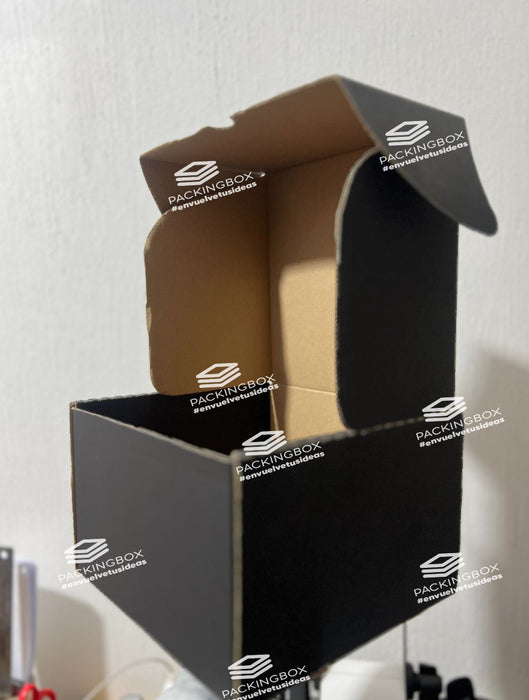 Caja Negra de 23.5 x 23.5 x 15.5 cm (1000 Unidades Con LOGO Q9 c/u)
