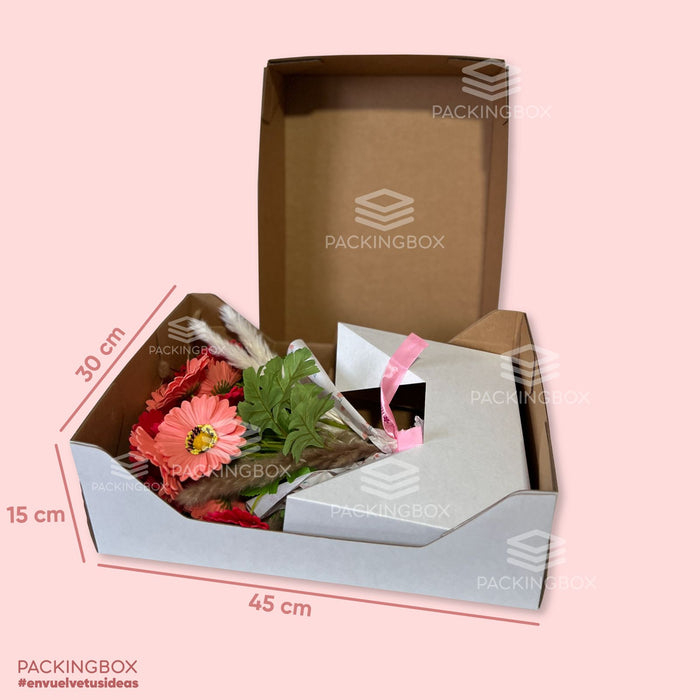 Caja de 45 x 30 x 15 cm