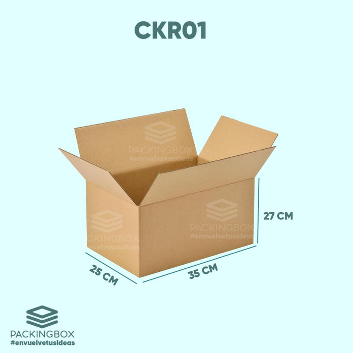 Caja regular de 35 x 25 x 27 cm (Liquidación)