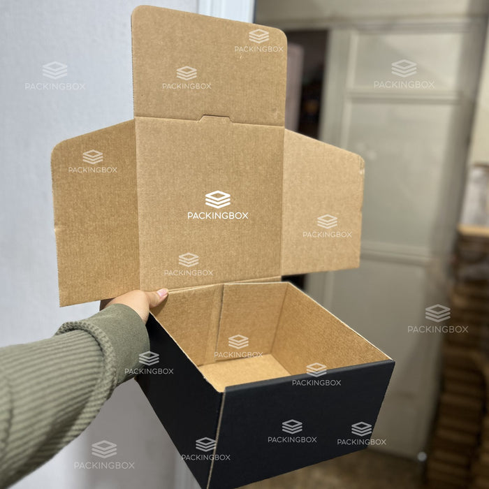 Caja Negra de 21.5 x 21.5 x 12.5 cm (25 Unidades)