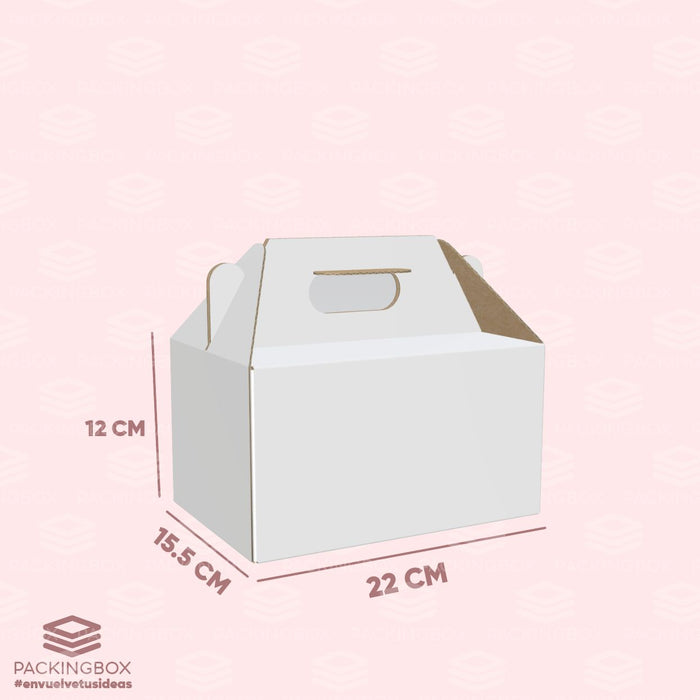 Caja tipo lonchera de 22 x 15 x 12 cm