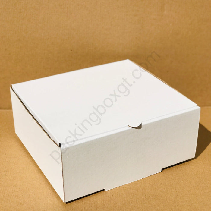 OUTLET 25 Unidades Caja semi Cuadrada 27.5 x 25 x 11 cm